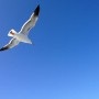 【高層ビルから俯瞰（ふかん）すると、真理にたどり着く。】